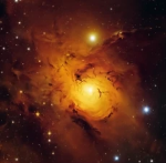Golden Nebula Clothing