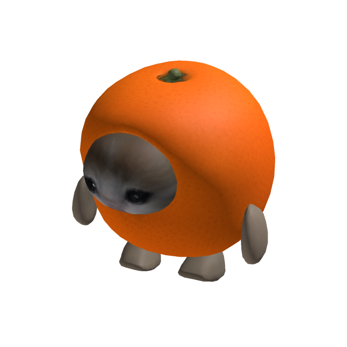 Orange Cat Suit