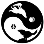 The Tribe of Yin and Yang