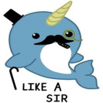 Narwhals ######