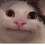 RxinArmyXD
