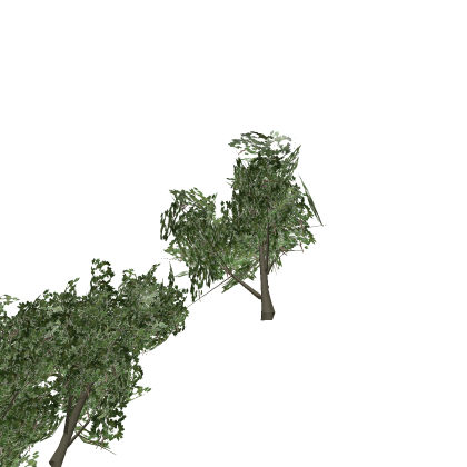 Old trees pack