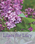 Lucy’s lilacs