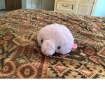Blob fish games