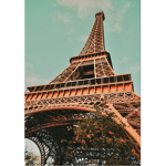 Lilly_FlowerCherryYT