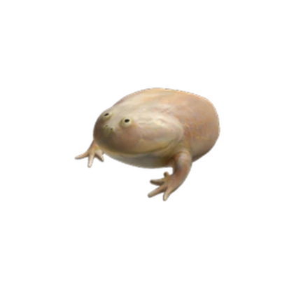 Frog UGCᅠᅠ Roblox group icon
