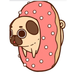 Cute dog in donut