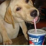 Grupo das pepsis