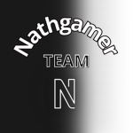 Nathgamer Team !
