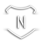 Ninex Security