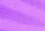 Group_2024