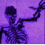 VOIDG0RE