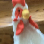 Ch1ckenfeet’s Chicken coop