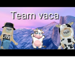 Team vaca para mis friends