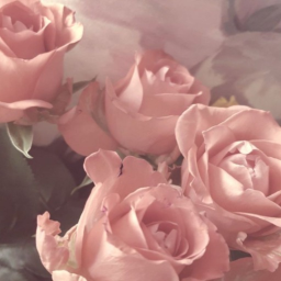 💗