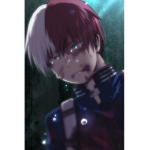 Todo shoto