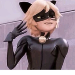 I am the kitties meow