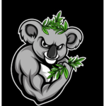 KoalaCraft Official