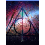 HARRY POTTER GIRLS
