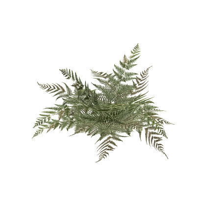 [UPDATE] Enhanced Trees Forest Pack Foliage Realis