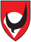 [-IDF-] 98th Paratroopers Brigade