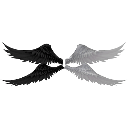 Black & White Angel Wings