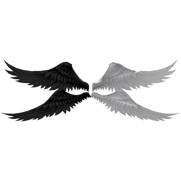 Black & White Angel Wings