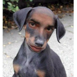 Funnyboy660