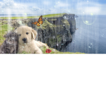 The Puppy family