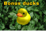 #bonus ducks