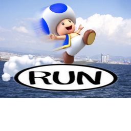 RACES RULE