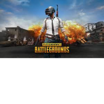 PUBG (Player Unknown Battleground)