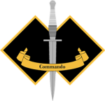 Special Action Unit | SAU
