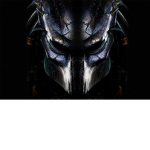 predator team who give robux