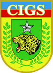 [CIGS] Centro de instrução guerra na selva (Bg)
