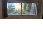 the window cult