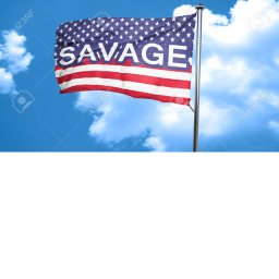 Savage Flag