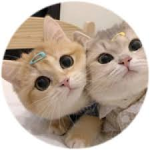kittie inc