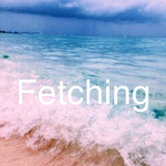 Fetching