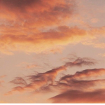 Sunset sunny’s
