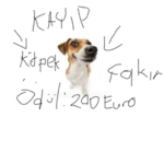 gel kerem