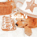Sofía’s clothes