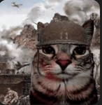 C.A.D Cat army
