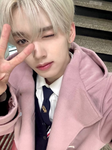 {Axolotl Group}