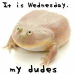 It is wednesday, my dudes