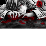 Rose of Red and Black and Gray
