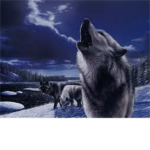 ☆DeathClan☆