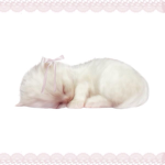 !dainty