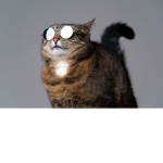 Moojo Is meh