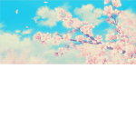 Cherry Blossoms Maids & Butlers Cafe